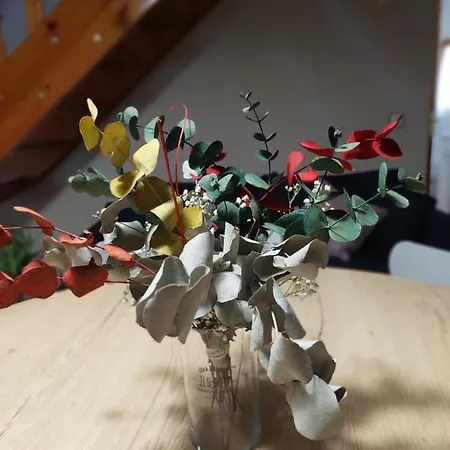 Casa Moreno Hospital (Huesca)