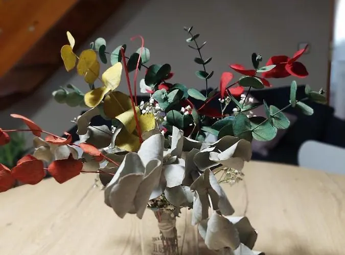 Casa Moreno Hospital (Huesca)